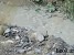 Apocalypse of Local Significance in Syunik Village Apocalypse of Local Significance in Syunik Village
