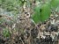 Apocalypse of Local Significance in Syunik Village Apocalypse of Local Significance in Syunik Village