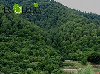 Impact of Different Pressures on “Dilijan” National Park Areas Not Assessed