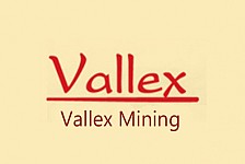 'Vallex' Stopped Teghout Mining for Non-Fixed Term
