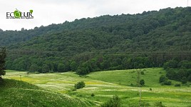 Кавказский фонд природы около 10 лет поддерживает охрану ООПТ Армении