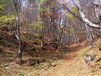 Paths of Dilijan National Park Mapped
