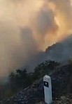 Forests on Way from Shikahogh to Meghri on Fire: Alarm Signal