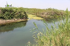 Рыбные хозяйства в Араратской долине на 90% нарушают условия выданных разрешений  на водопользование