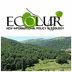 Рекомендации ЭкоЛур к проекту решения «Об утверждении лесной политики, стратегии и национального плана действий Республики Армения»