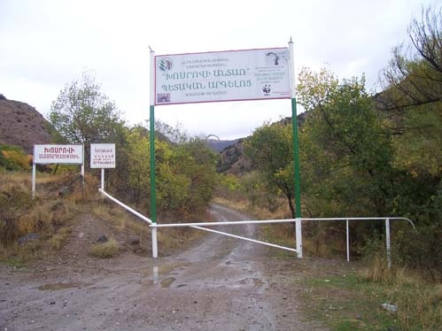 В ХОСРОВСКОМ ЛЕСУ ЗАБЫЛИ ОРУЖИЕ