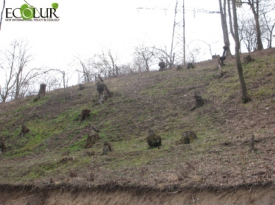 «Vallex Group»-ն արձագանքեց Հայաստանի կանաչների միության կողմից ներկայացված «Թեղուտի ծրագրի այընտրանքային վերլուծությանը»