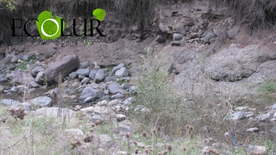 Փոքր ՀԷԿ-երն ազդեցություն են ունենում անտառների վրա