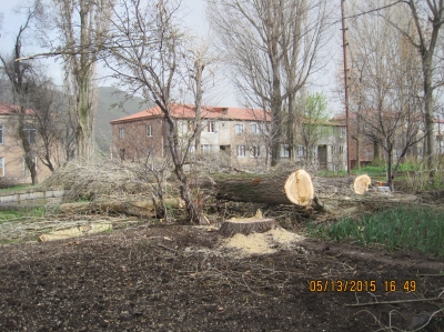 SOS Signal from Jermuk - Trees Felled Down in Downtown (Photos)