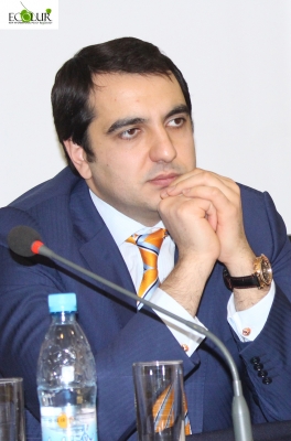 Armenia Will Have Diversified Energy Sector Due to Alternative Energy