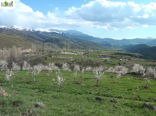 Jermuk Aldermen's Council Changed Category of 5 Agriculture Land Areas into Soil Management