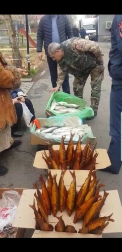 252 Items of Whitefish Confiscated