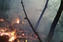 Пожар на территории Иджеванского лесхоза потушен. сгорело около 95 деревьев