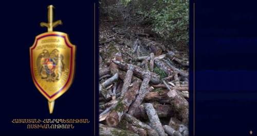 Administrative Head of One of Residential Areas in Syunik Region Illegally Felled Down Trees Together with His Sons