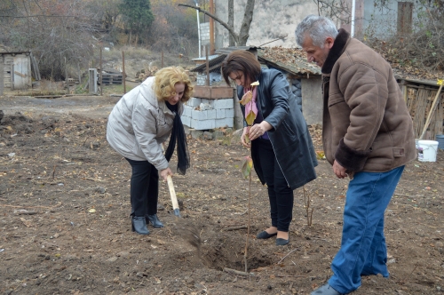 November in Tavush with Tree Planting