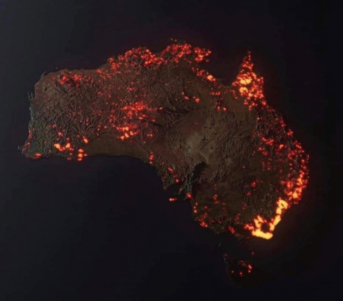 Пожары в Австралии - продолжающаяся катастрофа планеты