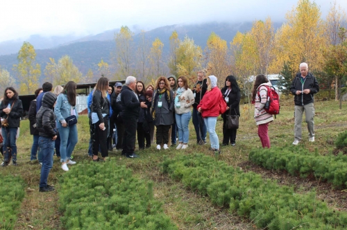 «Էյ Թի Փի»-ի առաջարկությունները՝ Հայաստանում 10 միլիոն ծառ տնկելու ծրագիրն իրականացնելու համար