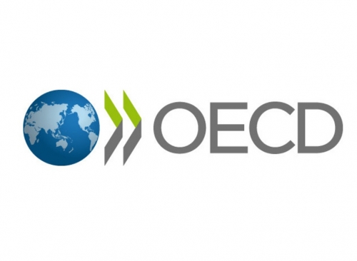 OECD Recommendations on Environmental Responsibility