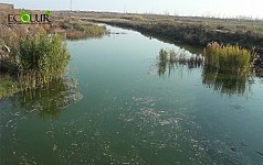 Ухудшилось качество воды в реке Севджур, снабжающей атомную станцию