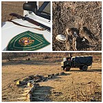 Выявление незаконной охоты и древесины в трех регионах