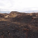 Положительное заключение НС по законопроекту об административной ответственности за сжигание отходов на полигонах