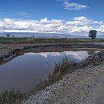 В результате незаконной добычи земли в Армавирской области окружающей среде нанесен ущерб на сумму более 5 млн драмов