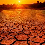 Hottest July ever signals ‘era of global boiling has arrived’ says UN chief