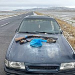Незаконная охота на птиц в Арагацотнской области: инспекционный орган по охране окружающей среды и недр изъяла у браконьеров оружие