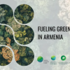 500 Hectares of Forest to Be Established in Shirak Region 500 Hectares of Forest to Be Established in Shirak Region