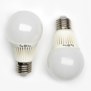 Energy Efficient Light Bulbs To Be Provided to Borderline Chinari, Paravaqar, Movses, Aygepar and Vazashen Communities