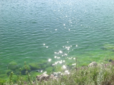 Health Ministry Urging Not To Swim in Algae-Covered Areas in Lake Sevan