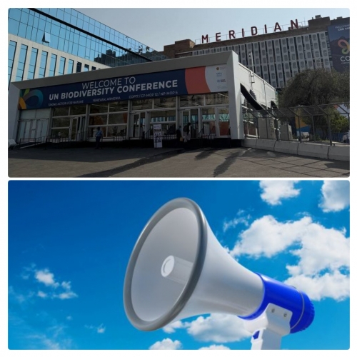 Հայաստանի քաղաքացիական հասարակության հռչակագիրը՝ ուղղված CBD COP17-ի մասնակիցներին Հայաստանի քաղաքացիական հասարակության հռչակագիրը՝ ուղղված CBD COP17-ի մասնակիցներին