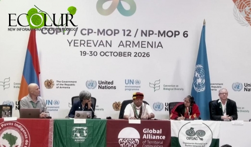 Ավելի քան 80 կազմակերպություն COP17-ում կոչ է անում զերծ պահել պահպանվող տարածքները արդյունահանող արդյունաբերությունից Ավելի քան 80 կազմակերպություն COP17-ում կոչ է անում զերծ պահել պահպանվող տարածքները արդյունահանող արդյունաբերությունից