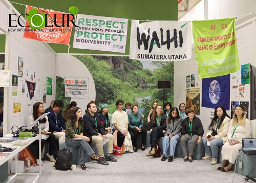 Ամուլսարի հարցը՝ COP17-ի օրակարգում. կայացավ «Ոսկուց ավելի թանկ. Ամուլսարի գինը» ֆիլմի ցուցադրությունը Ամուլսարի հարցը՝ COP17-ի օրակարգում. կայացավ «Ոսկուց ավելի թանկ. Ամուլսարի գինը» ֆիլմի ցուցադրությունը